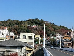 織姫山