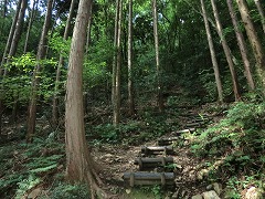 擬木の階段