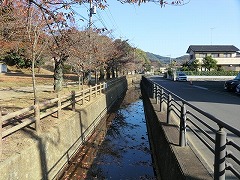 八雲神社前の逆川