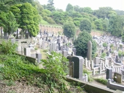 福厳寺の墓地