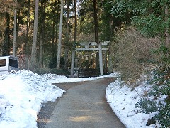 杉木立の中の八幡神社