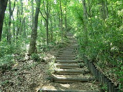 擬木の階段