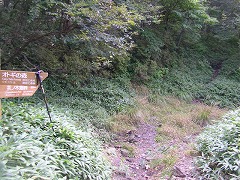 茶ノ木畑峠への登山口