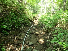 山道の水道管